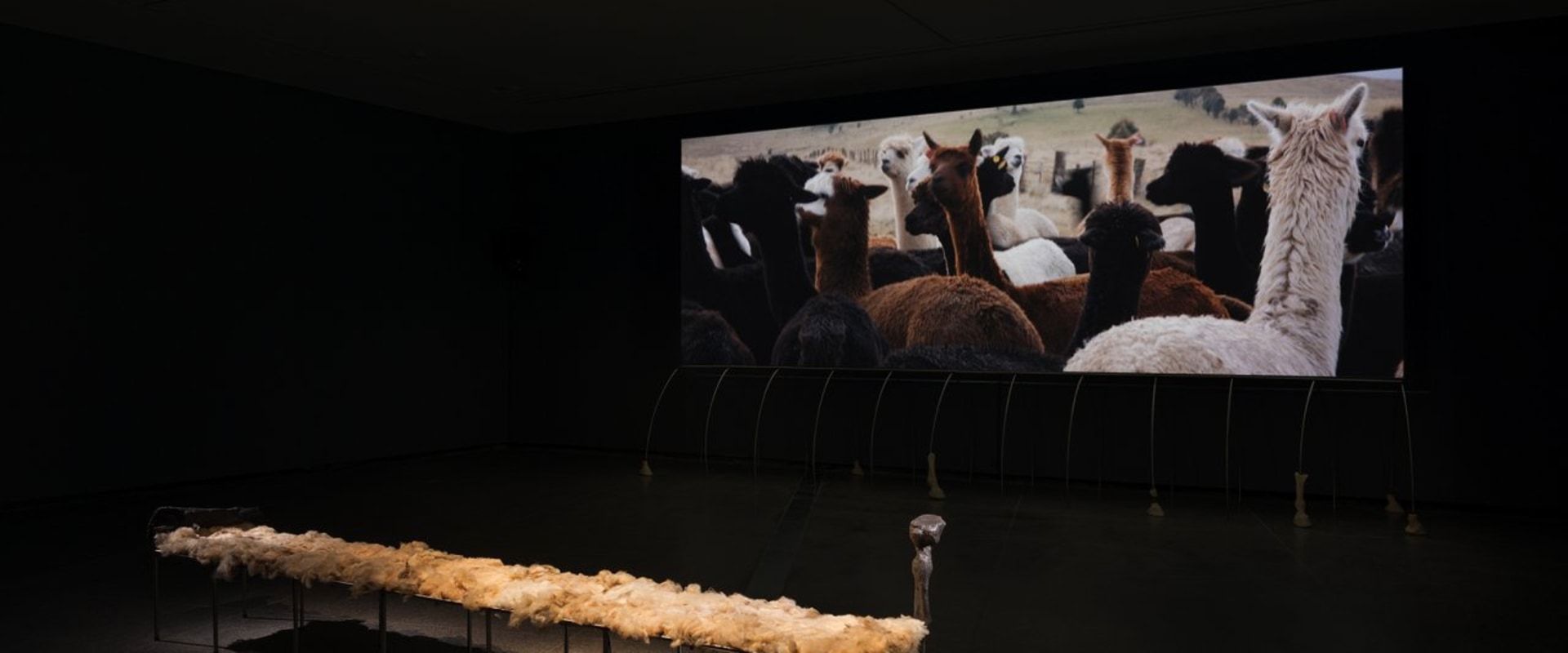 Limited Edition and One-of-a-Kind Pieces: A Guide to David Trump's Equine Art