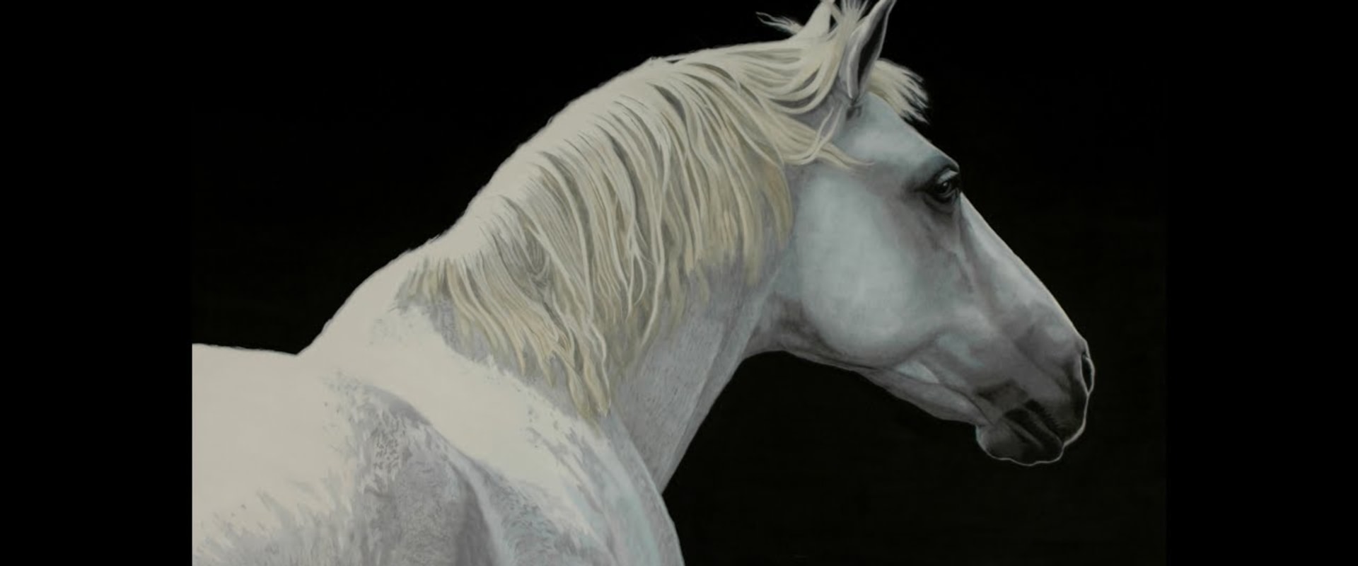 How to Discover the Beauty of David Trump's Equine Art