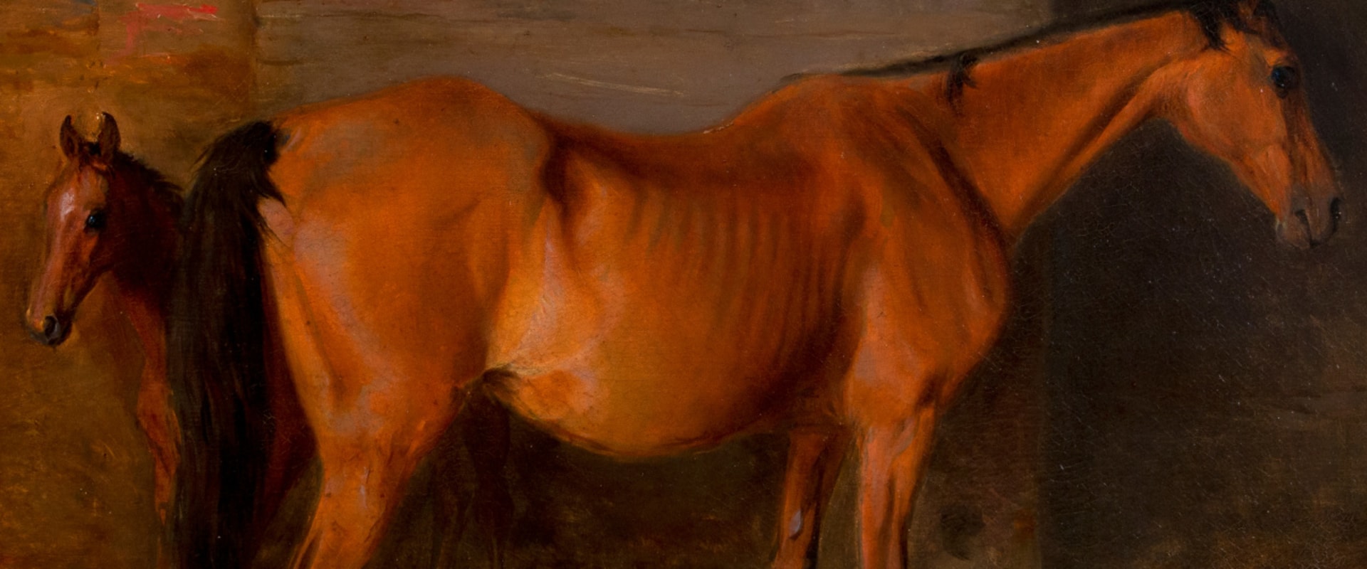 Notable Commissions and Collections: A Look into David Trump's Equine Art