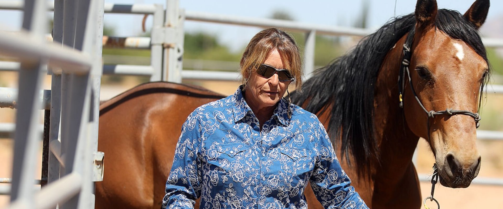 Exploring David Trump's Equine Art: A Journey Through Recognition