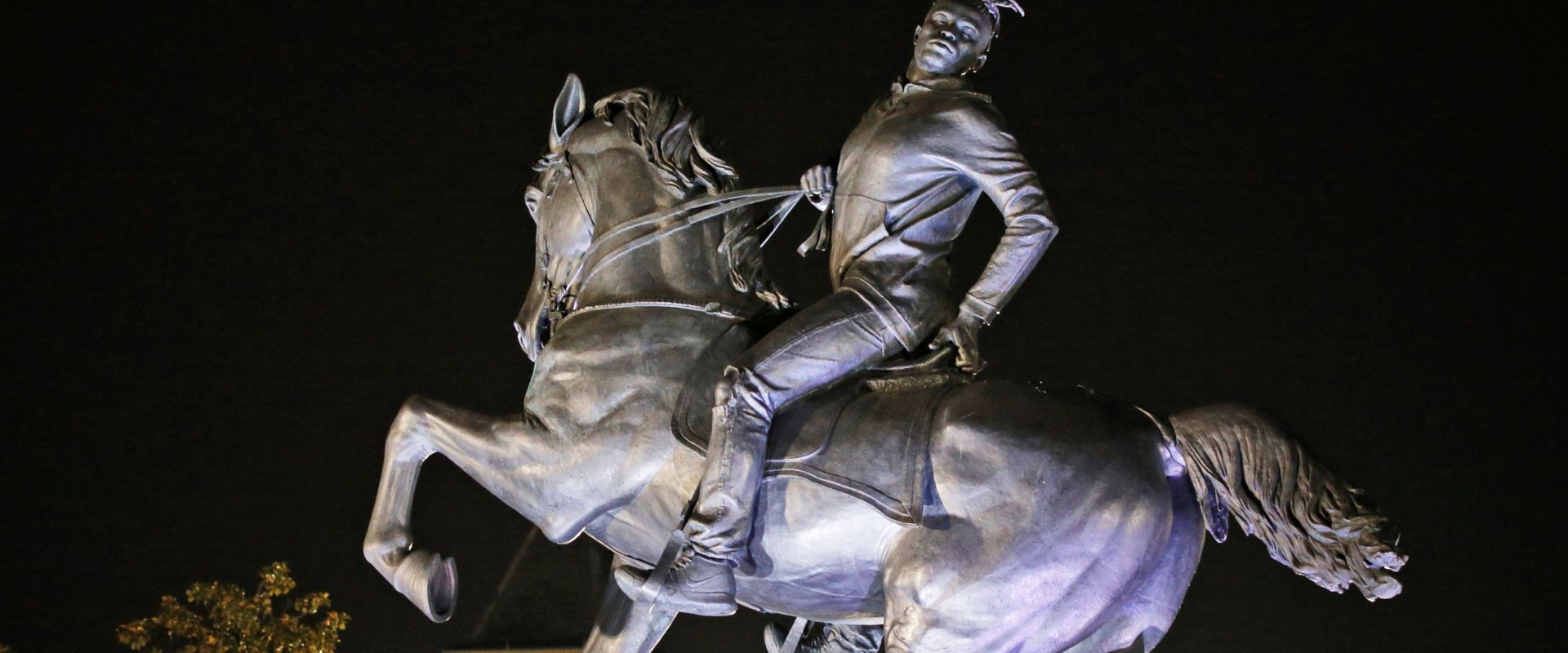 Customization options for prints: How to Make David Trump's Equine Art Your Own