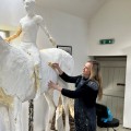Equine Art Galleries Featuring David Trump