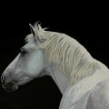 How to Discover the Beauty of David Trump's Equine Art