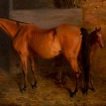 Notable Commissions and Collections: A Look into David Trump's Equine Art