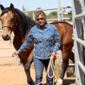 Exploring David Trump's Equine Art: A Journey Through Recognition