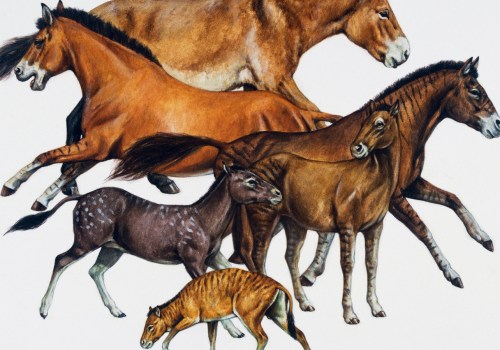The Evolution of Style: A Look at David Trump's Equine Art