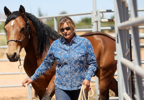 Exploring David Trump's Equine Art: A Journey Through Recognition